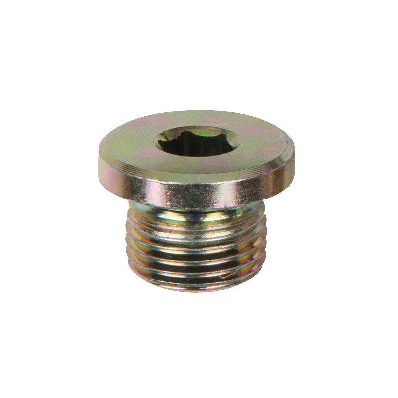 Lot De 10 Bouchons De Vidange M17X1,5 mm