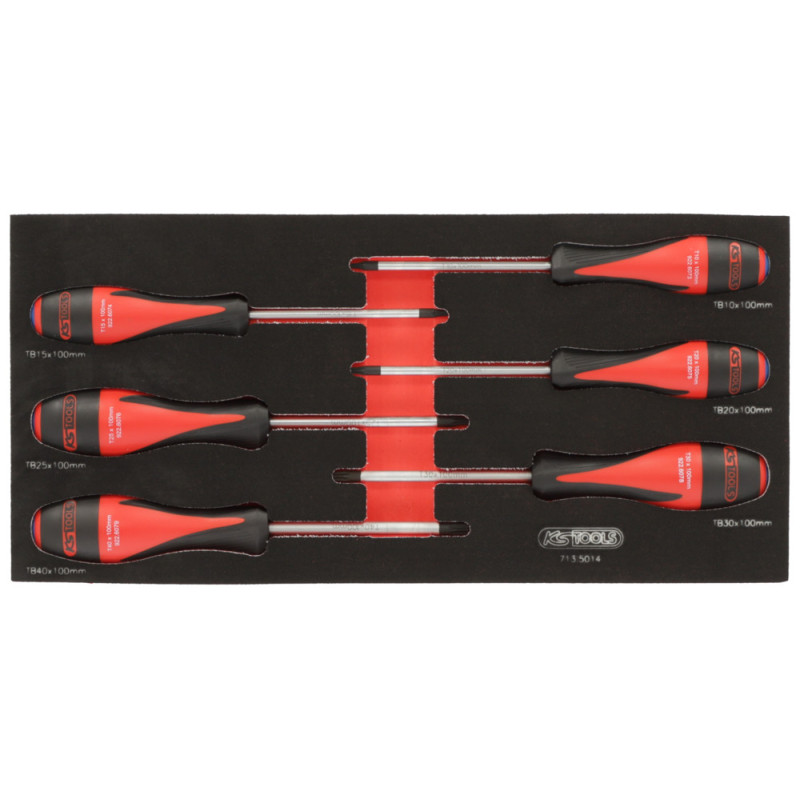 Module De Tournevis Ultimate Torx® Percée, 6 Pièces