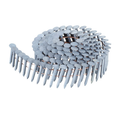 Pointes En Rouleau Galvanisées À Chaud 3.1X19Mm