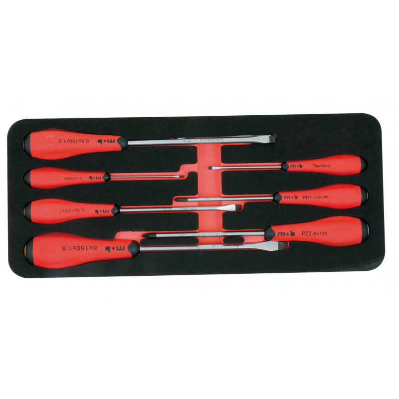 Module Mousse 7 Tournevis Torx