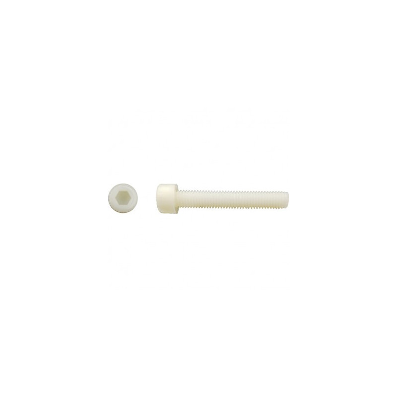 Vis Chc 8X40 Pa 6 6 Nat - LENNIE | Réf: 0770-8-40