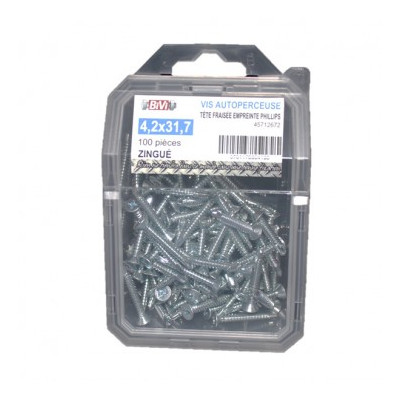 Coque De 100 Vis Autoperceuse Tf 4.2X38 Zg - LENNIE | Réf: 7374-4.2-38