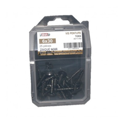 Coque De 25 Vis Pent Torx 6X40 Zing Noir - LENNIE | Réf: 7537-6-40