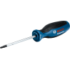 Tournevis Torx 20 X100 (C)