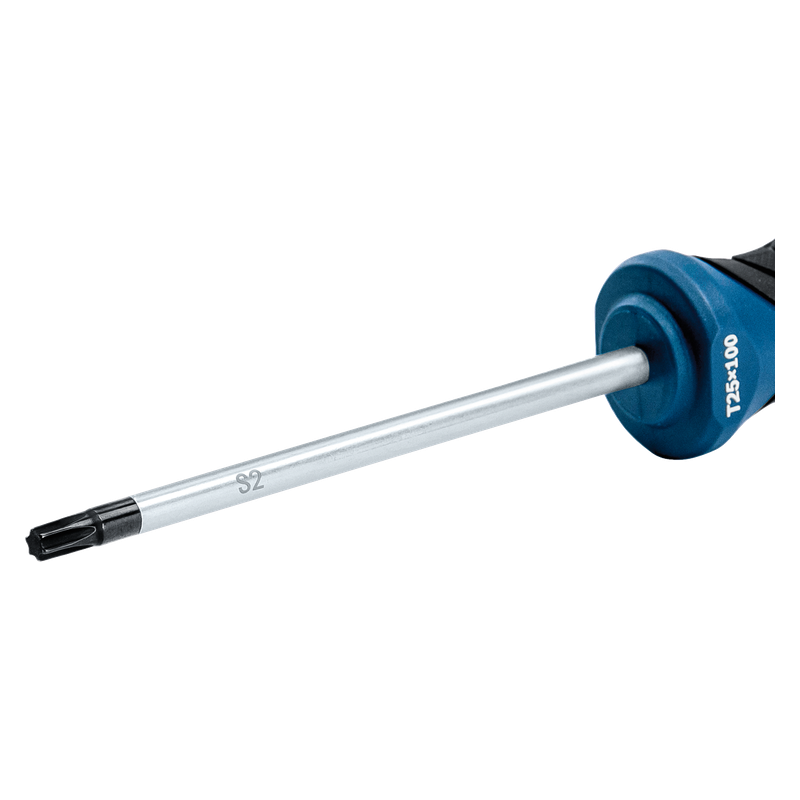 Tournevis Torx 25 X100 (C)