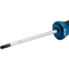 Tournevis Torx 25X100 (C)