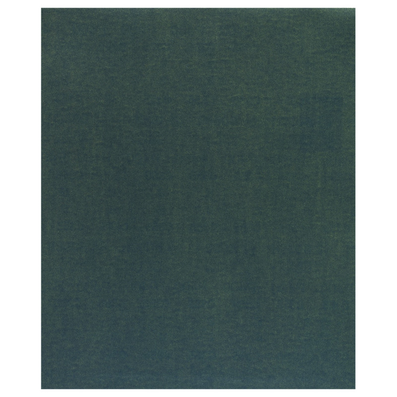 1 ABR MAIN FEUIL/IMP C355 230 x280 G