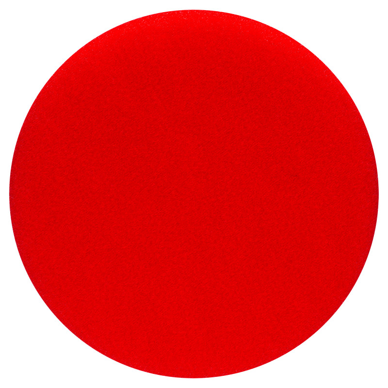 Eponge a Polir 130 Mm Gex/pex