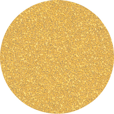 50 disques abrasifs bois et peinture C470 EXPERT 125 mm G40 grain 40