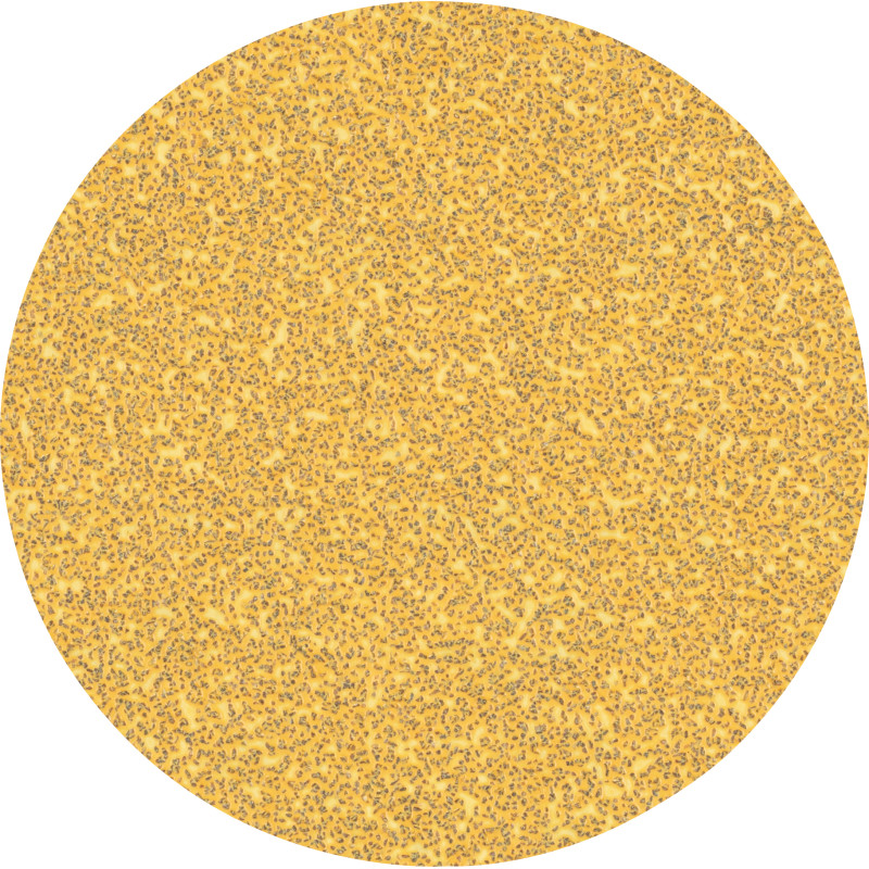 50 disques abrasifs bois et peinture C470 EXPERT 125 mm G40 grain 40