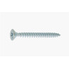 Vis bois/aggloméré tête fraisée Pozidriv acier zingué blanc 5.0 X 30 - (BP100) — FRAISEE / ZNBLANC — Blister de 100 pièces