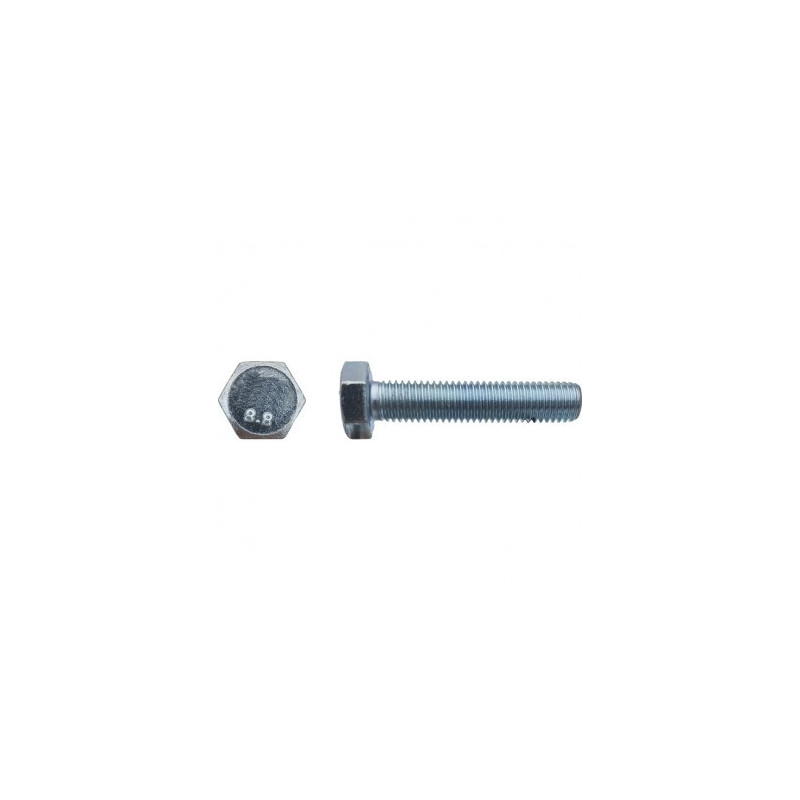 VIS TH F/TOT ISO4017 14X45 8.8 ZING — Boîte de 50 pièces