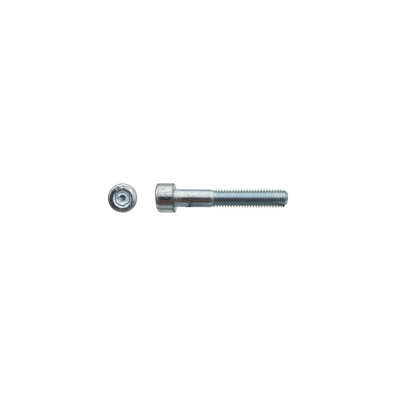 VIS CHC DIN912 6X10 8.8 ZING — DIN 912 — Boîte de 200 pièces
