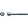 VIS CHC DIN912 12X80 8.8 ZING — DIN 912 — Boîte de 50 pièces