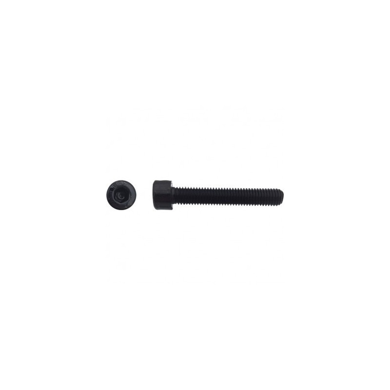 VIS CHC FIL/TOT DIN912 6X45 8.8 BRUT — DIN 912 — Boîte de 200 pièces