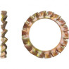 ROND DENT EXT DIN 6798 D12 ZBI — DIN 6798 A — Boîte de 500 pièces