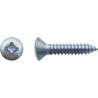 V/TOL TFB PZ N12 (5.5)X31.7 ZG — DIN 7983 — Boîte de 250 pièces