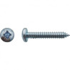 V/TOLE TC PZ N12 (5.5)X38 ZG — DIN 7981 — Boîte de 250 pièces