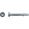 VIS AUTOPER TF AILETTE TORX DIN7504P 6.3X50 ZING — Boîte de 200 pièces