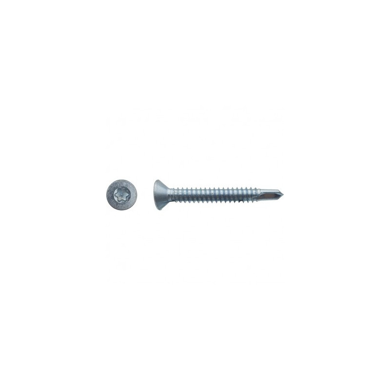 VIS AUTOPER TF TORX DIN7504OT 4.8X15.9 ZG BLANC — Boîte de 500 pièces