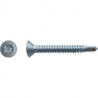 VIS AUTOPER TF TORX DIN7504OT 4.8X15.9 ZG BLANC — Boîte de 500 pièces
