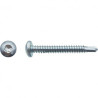 VIS AUTOPER TC TORX DIN7504M 4.2X38 ZG BLANC — Boîte de 500 pièces