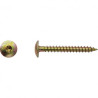 VIS PENTURE TORX 6X20 CR3 + ZBI — Boîte de 250 pièces