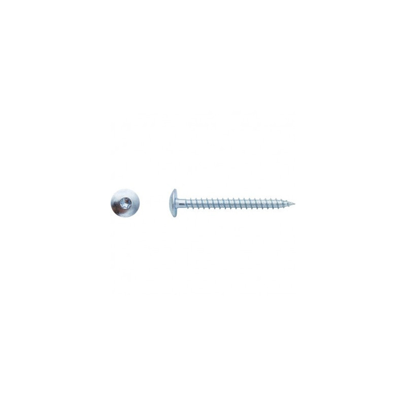 VIS PENTURE TORX 6X25 ZING — Boîte de 250 pièces