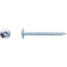 VIS PENT TORX 7X40 ZING — Boîte de 100 pièces