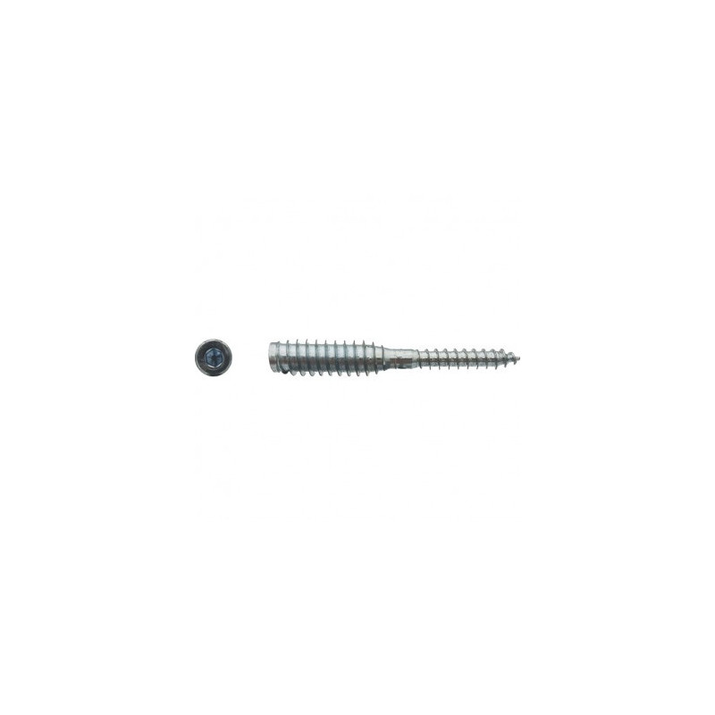 VIS ADJUST 6X100 ZONE DE BLOCAGE 22 MM ZG — Boîte de 100 pièces