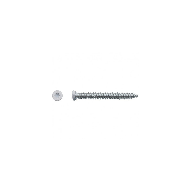 VIS BETON DANCRAGE TF TORX 7.5X62 ZG LAQUE BLANC — Boîte de 200 pièces