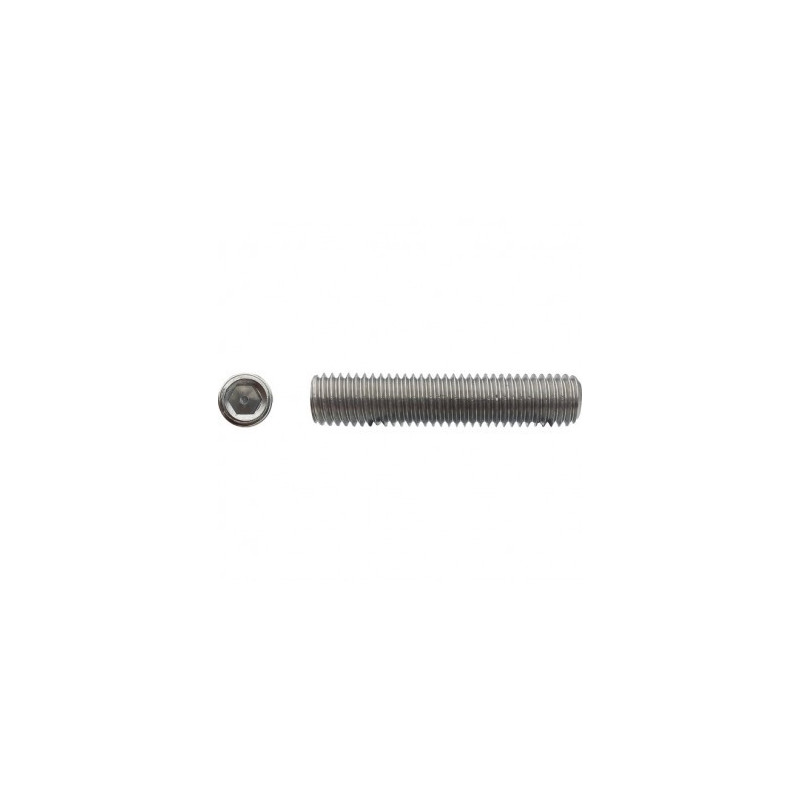 VIS HC BOUT CUVETTE 10 X 20 INOX A2 — DIN 916 — Boîte de 200 pièces