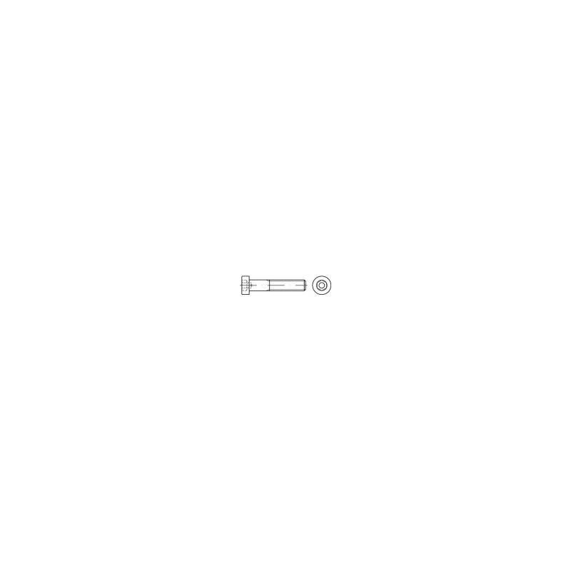 VIS CHC 5 X 100 INOX A2 — DIN 912 — Boîte de 100 pièces