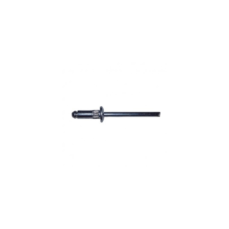 RIVET MASSE LAITON/ACIER TR GOMASSE HR TRS 4.8X12 — Boîte de 250 pièces