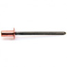 RIVET ETANCHE CUIVRE/ACIER TR GOSTOP TRS 4X8 — Boîte de 500 pièces
