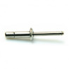 RIVET STRUCTURE TOUT ACIER TR HIGHBOLT TRS 4.8X14 — Boîte de 250 pièces