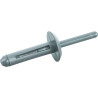Lot De 10 Rivets De Rechange 25,2 X 6,3 mm Pour Pince 150.9650