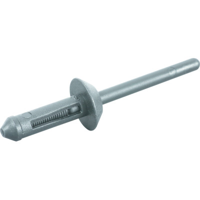 Lot De 10 Rivets De Rechange 17,2 X 5 mm Pour Pince 150.9650
