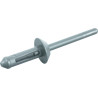 Lot De 10 Rivets De Rechange 17,2 X 5 mm Pour Pince 150.9650