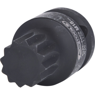 Douille Tournevis À Chocs Courte 1/2'' Xzn®, M18 - L. 43 mm