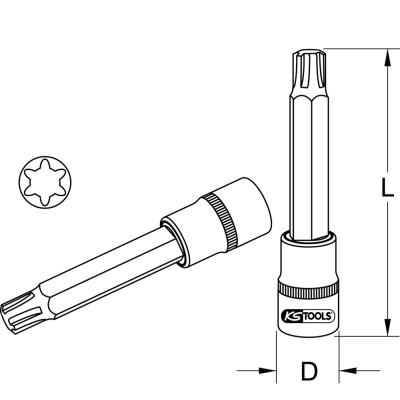 Douille Tournevis Extra-Longue Ribe® 1/2'', M10