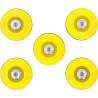Lot De 5 Plateaux Pour Disque De Ponçage Diam. 50,0 mm Souples Pour 515.5585 Et