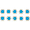 Lot De 10 Disques De Ponçage - 50,0 mm - Paille De Fer