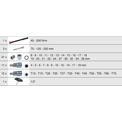 Coffret Clé Dynamométrique Ergotorqueprécision® 1/2'', 40-200 Nm, 49 Pcs