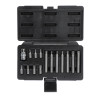 Coffret De 15 Embouts De Vissage Torx® 1/2'', T20 À T55
