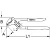 Pince Multiprises Titanplus 10'', 250Mm